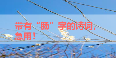 带有“肠”字的诗词，急用！ 