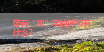 带有“观”字的诗句有什么？ 