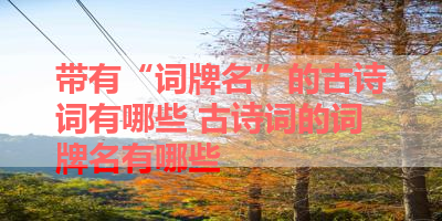 带有“词牌名”的古诗词有哪些 古诗词的词牌名有哪些