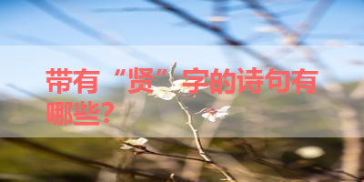 带有“贤”字的诗句有哪些？ 