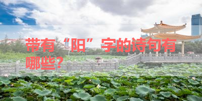 带有“阳”字的诗句有哪些？ 