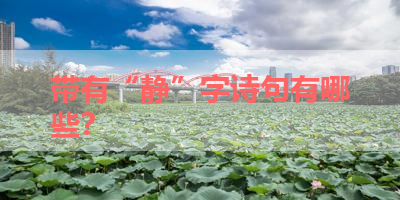 带有“静”字诗句有哪些？ 