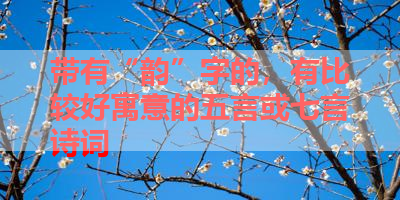 带有“韵”字的，有比较好寓意的五言或七言诗词 