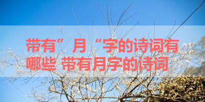 带有”月“字的诗词有哪些 带有月字的诗词
