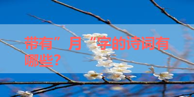 带有”月“字的诗词有哪些？ 