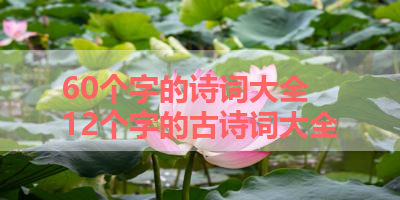 60个字的诗词大全 12个字的古诗词大全
