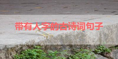 带有人字的古诗词句子 