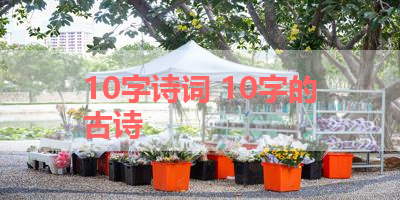 10字诗词 10字的古诗