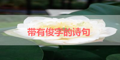 带有俊字的诗句 
