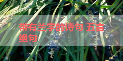 带有兰字的诗句 五言绝句 