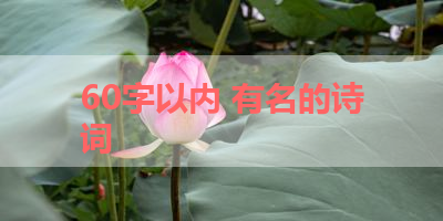 60字以内 有名的诗词 