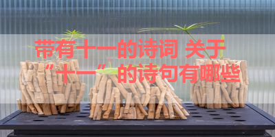 带有十一的诗词 关于“十一”的诗句有哪些 