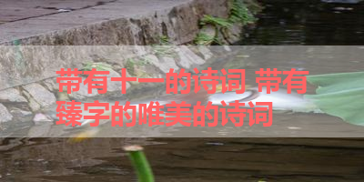 带有十一的诗词 带有臻字的唯美的诗词