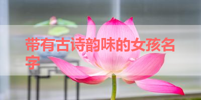 带有古诗韵味的女孩名字 