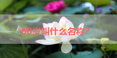 60岁叫什么名称？ 