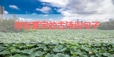 带有夏字的古诗词句子 