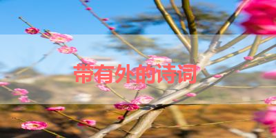 带有外的诗词 