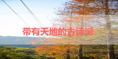 带有天地的古诗词 