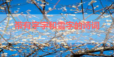 带有宇字和雪字的诗词 