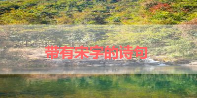 带有宋字的诗句 