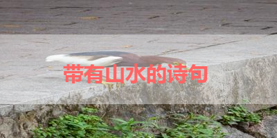 带有山水的诗句 
