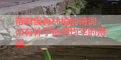 带有当再林柏的诗词 带有林字柏字均字的诗词 