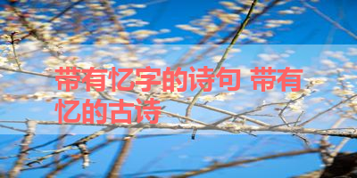 带有忆字的诗句 带有忆的古诗