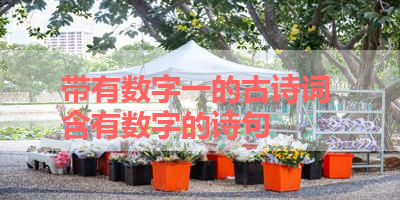 带有数字一的古诗词 含有数字的诗句 