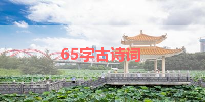 65字古诗词 