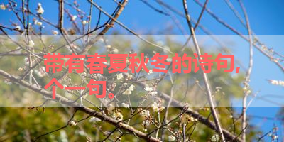 带有春夏秋冬的诗句,个一句。 