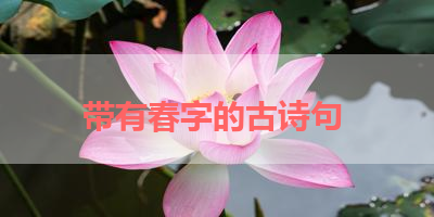 带有春字的古诗句 