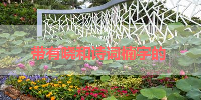 带有晓和诗词楠字的 