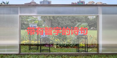 带有智字的诗句 