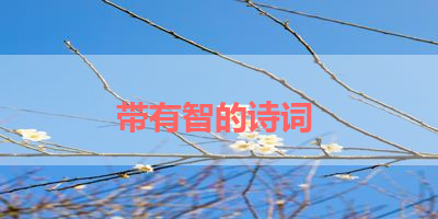 带有智的诗词 