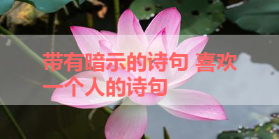 带有暗示的诗句 喜欢一个人的诗句
