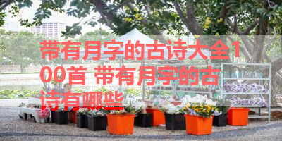 带有月字的古诗大全100首 带有月字的古诗有哪些
