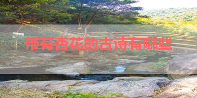 带有杏花的古诗有哪些 