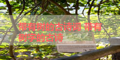 带有树的古诗词 带有树字的古诗 
