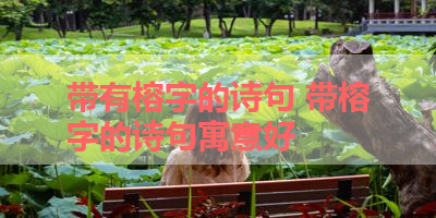带有榕字的诗句 带榕字的诗句寓意好