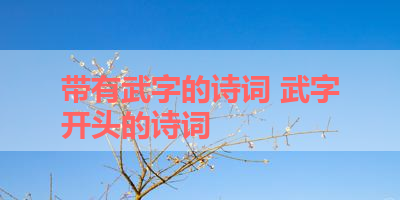 带有武字的诗词 武字开头的诗词