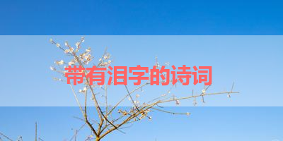 带有泪字的诗词 