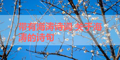 带有海涛诗词 关于海涛的诗句 