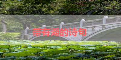 带有湖的诗句 