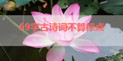 69字古诗词不算标点 