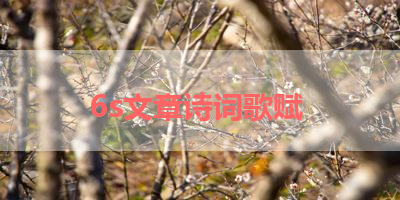 6s文章诗词歌赋 