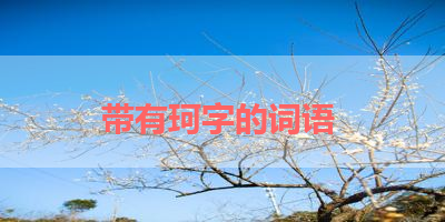 带有珂字的词语 