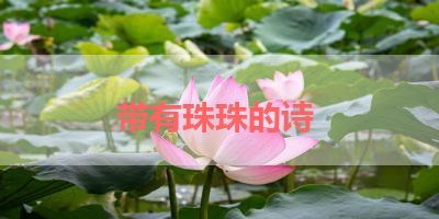带有珠珠的诗 