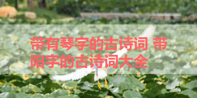 带有琴字的古诗词 带阳字的古诗词大全