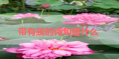 带有疏的诗句是什么 