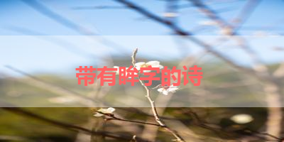 带有眸字的诗 